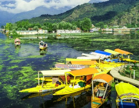 Srinagar-Pahalgam-Gulmarg Tour