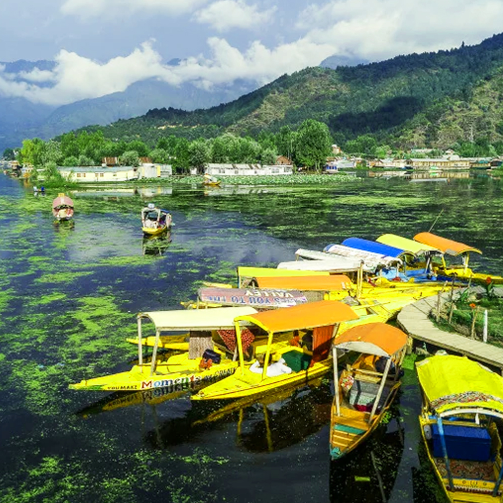 Srinagar-Pahalgam-Gulmarg Tour