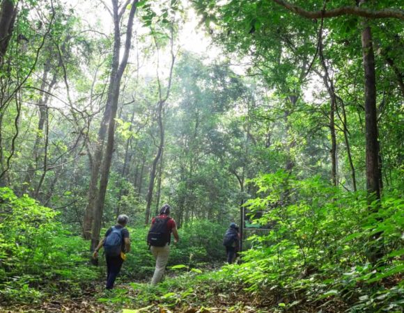 Adventure and Nature Escape in Goa