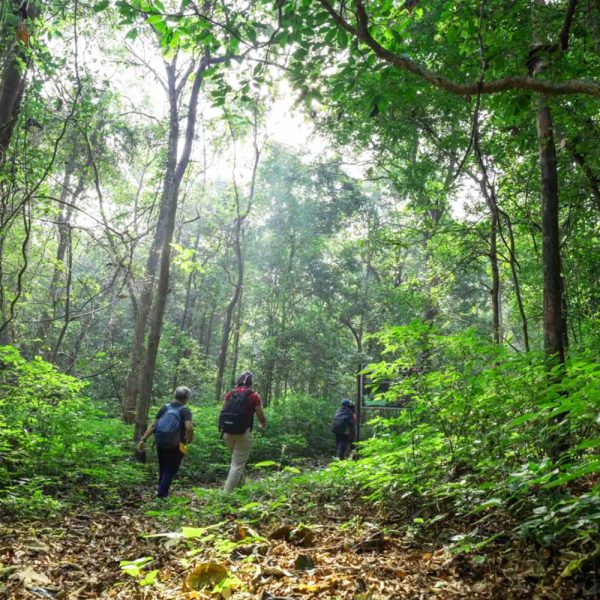Adventure and Nature Escape in Goa