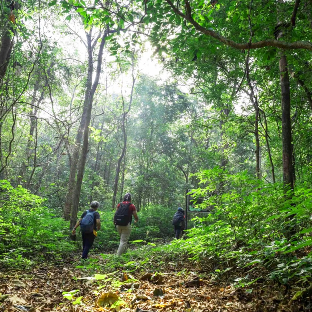 Adventure and Nature Escape in Goa