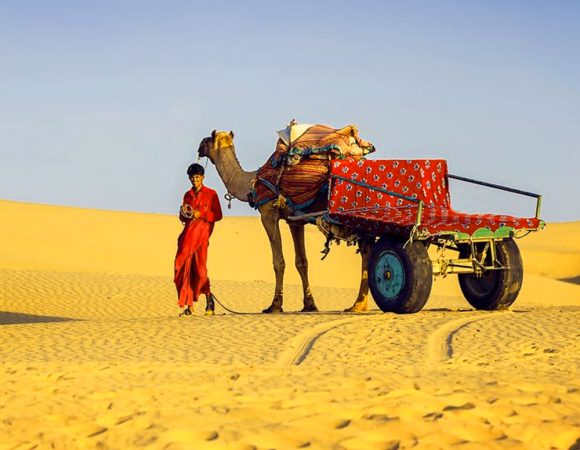 Jaipur - "The Pink City" tour