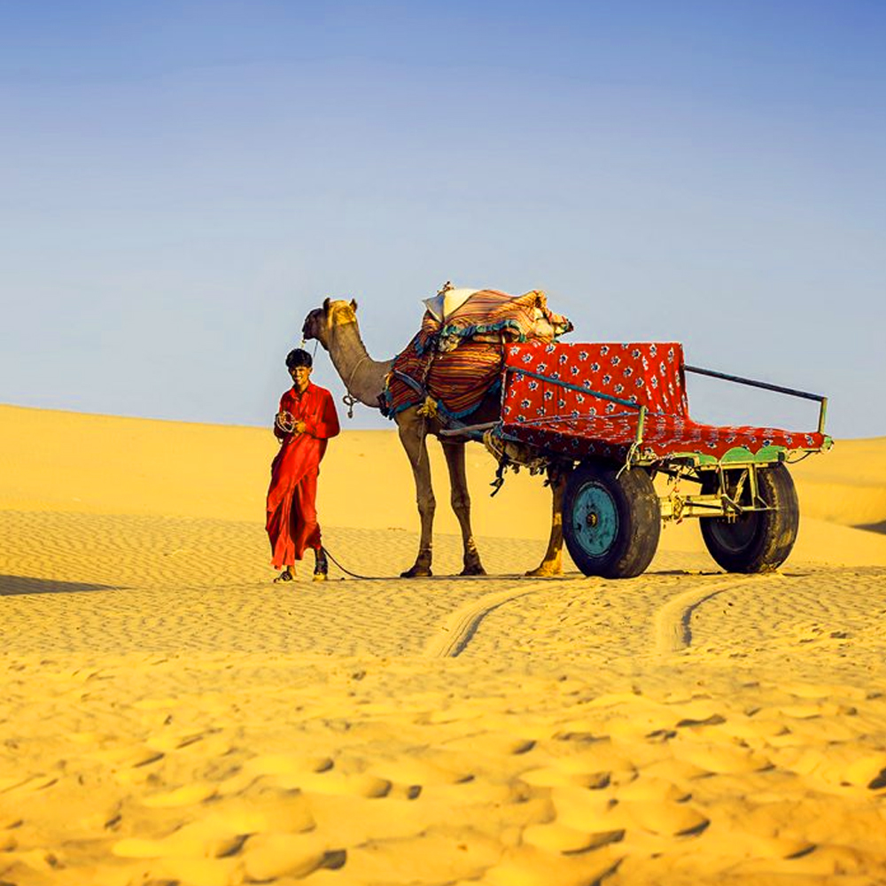 Jaipur - "The Pink City" tour