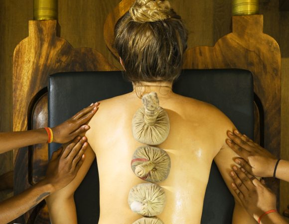 Ayurveda and Wellness Retreat