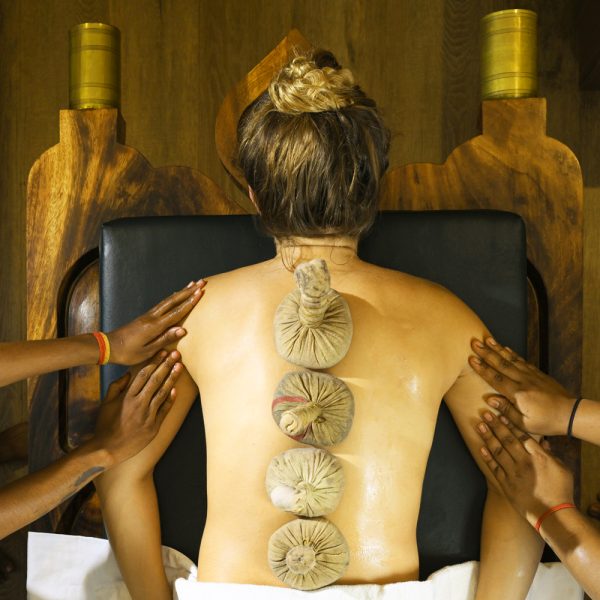 Ayurveda and Wellness Retreat