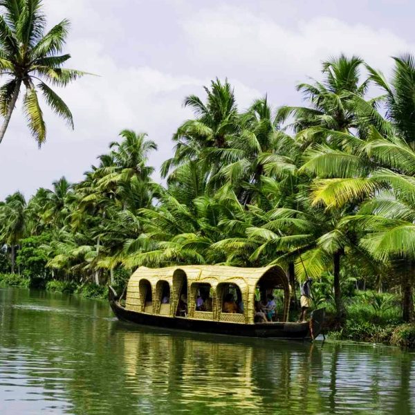Backwaters and Houseboat Experience