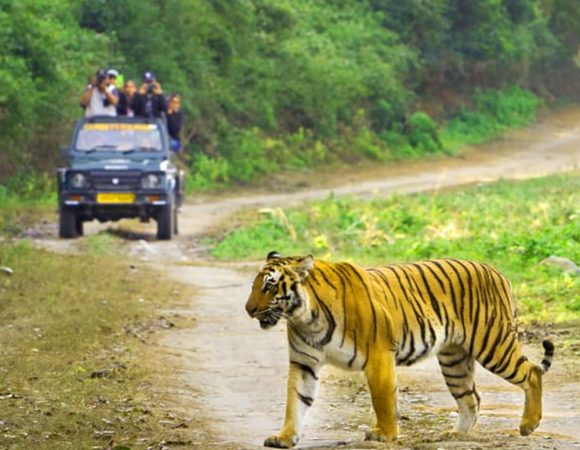 Nainital and Jim Corbett National Park Package