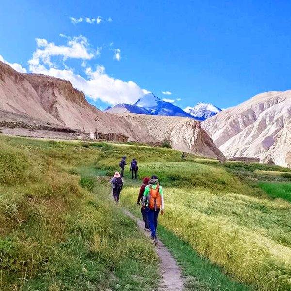 Markha Valley Trek