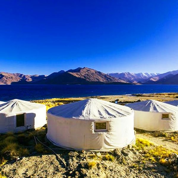 Pangong Lake Camping