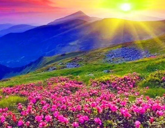 Valley of Flowers and Hemkund Sahib Trek