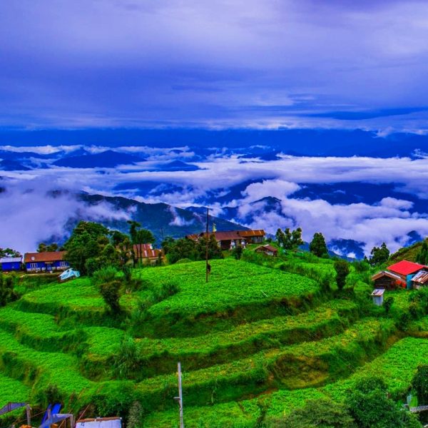 Darjeeling - "The Queen of Hills" Package
